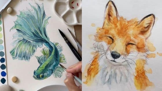 Viewing Deck Blog - 2025-07-14T220247212 | Sky Rye Design