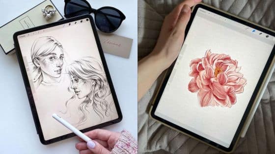 Viewing Deck Blog - 2025-07-18T213427734 | Sky Rye Design