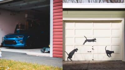 Left garage with blue car, right garage door with black cat silhouettes jumping and walking.