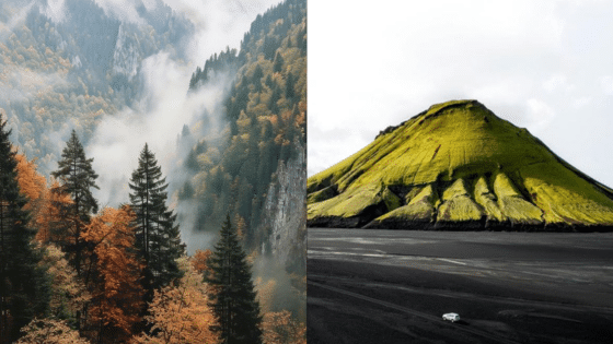 Viewing Deck Blog | Sky Rye Design