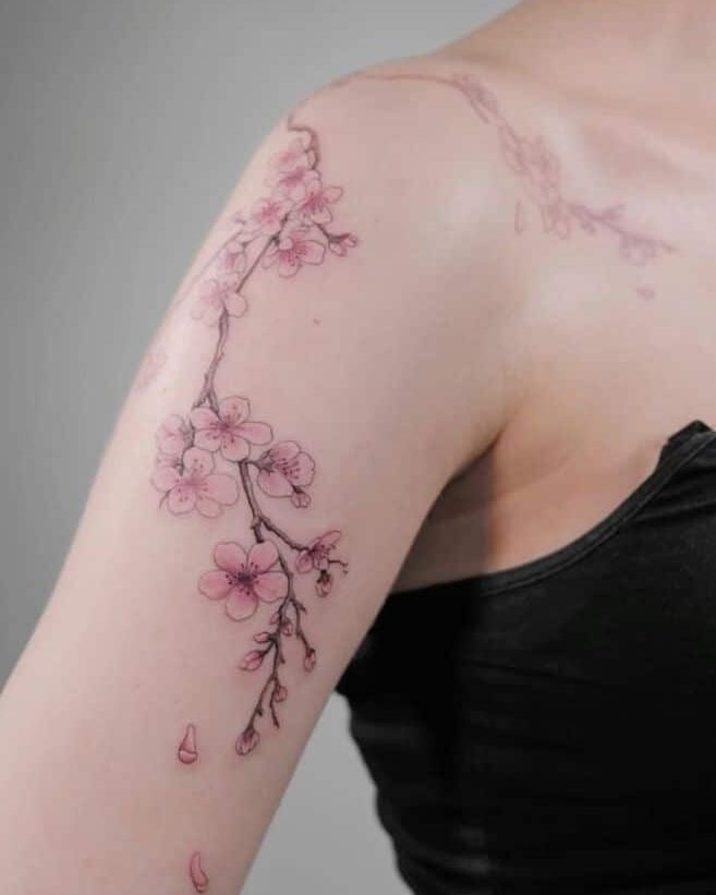 a1bd1399-0af0-4fe6-a529-967431a5c976 | Sky Rye Design