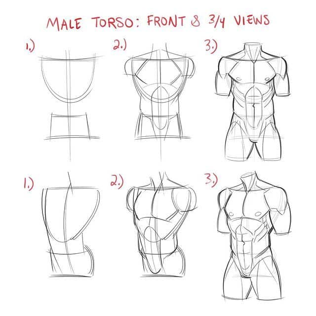 Drawing tutorial showing steps to sketch a male torso from front and 3/4 views.