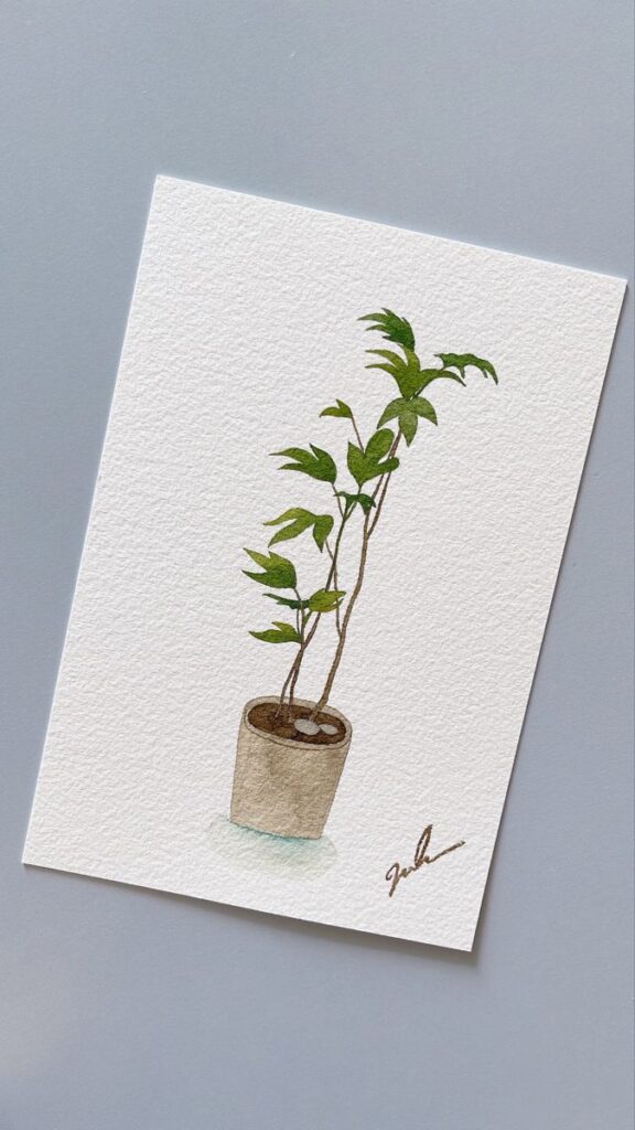 Watercolor painting of a potted plant with green leaves on textured paper. Minimalist botanical art.