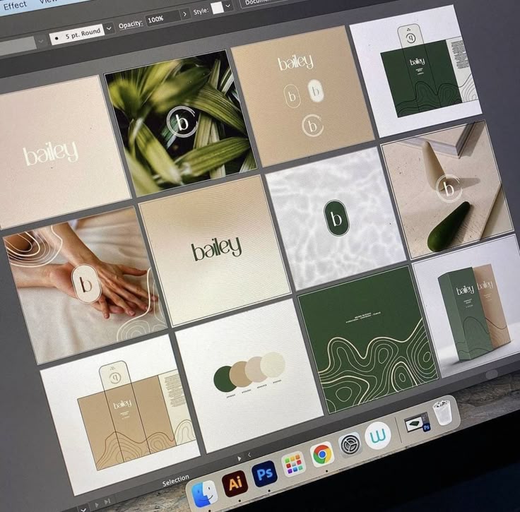 Design software mockup showcasing bailey brand identity with logo variations and packaging designs.