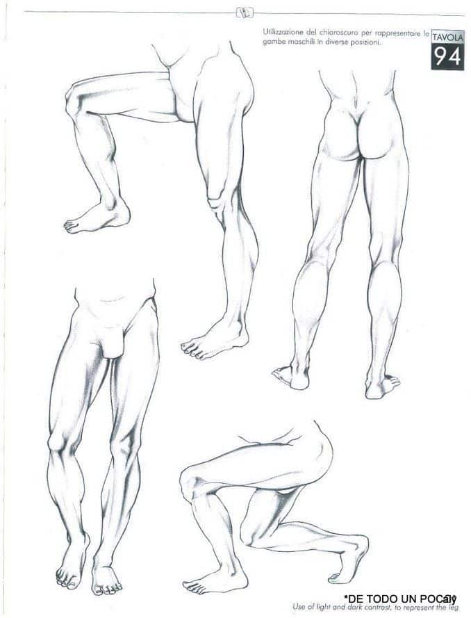 Anatomical sketch of male legs in various poses, demonstrating chiaroscuro shading techniques.