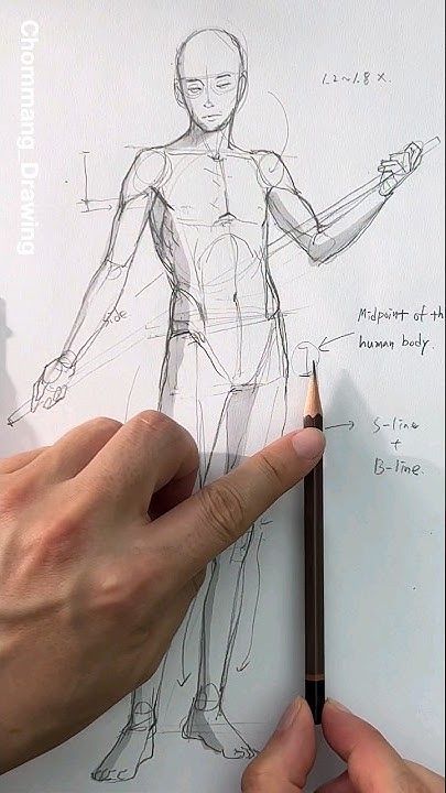 Hand pointing at human body sketch with labeling, showing midpoint and lines.