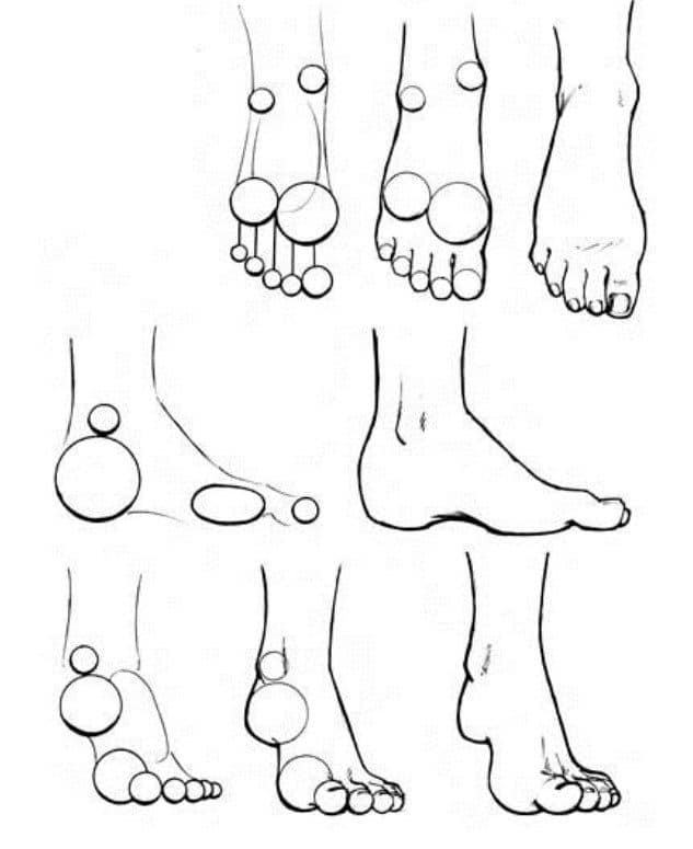Sketch of feet with circles highlighting anatomical structure and proportions, shown from various angles and perspectives.