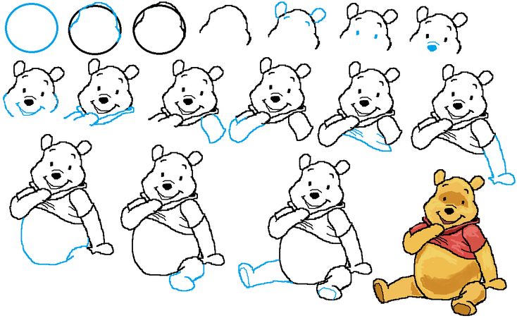 Step-by-step guide to drawing a cartoon bear character sitting and smiling, from circles to color.