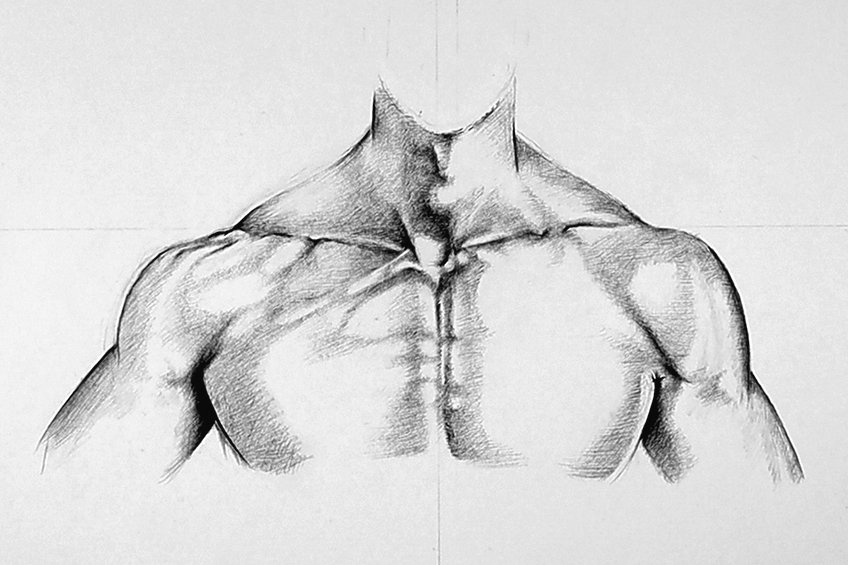 Pencil drawing of a muscular torso showcasing detailed anatomy and shading.