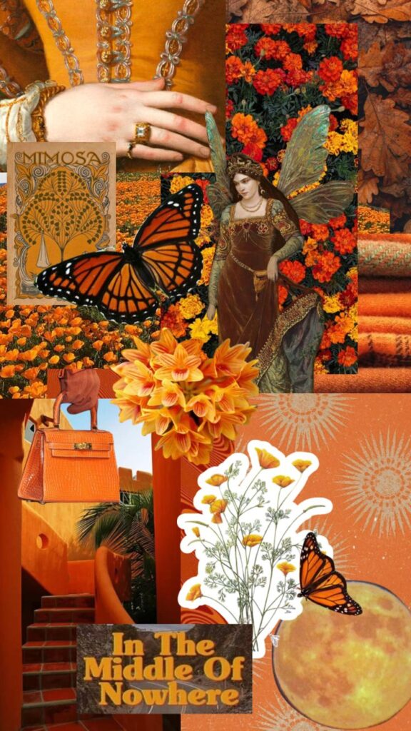 Vintage orange collage with butterfly, flowers, and art. Text: In The Middle of Nowhere. Autumn-themed aesthetic.