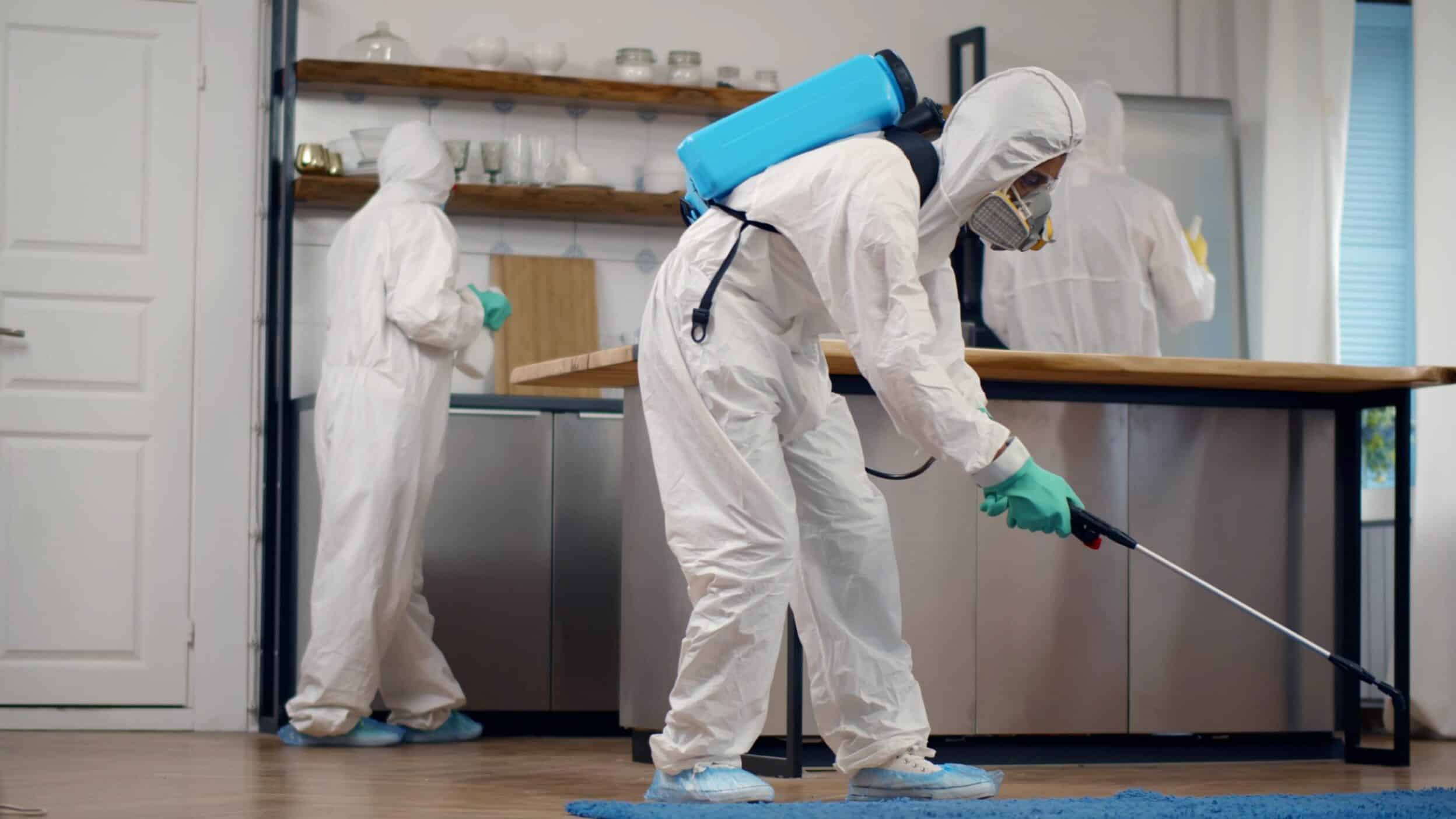 Protect Your Business with the Best Pest Control Services