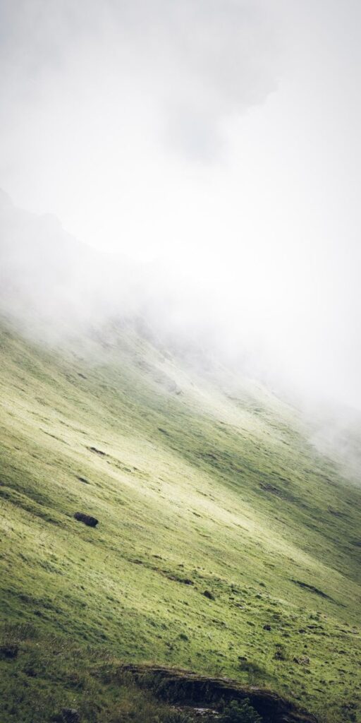 _ | Sky Rye Design