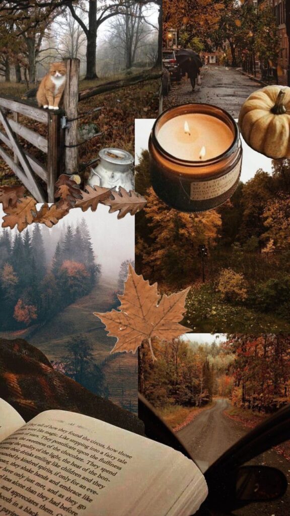 Cozy autumn collage with a cat, candle, pumpkins, misty forest, fallen leaves, and an open book. Perfect fall vibes.