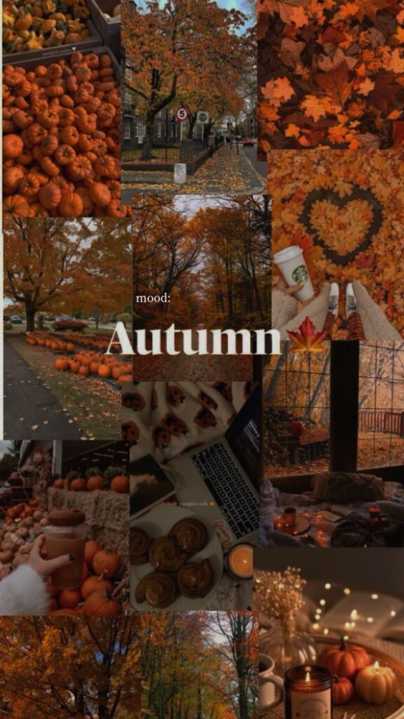 Collage of cozy autumn scenes: pumpkins, fallen leaves, scenic trees, and warm drinks evoke the essence of fall.