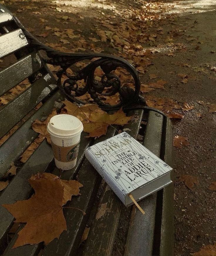 Coffee cup and book on a park bench with autumn leaves, creating a cozy fall reading scene.