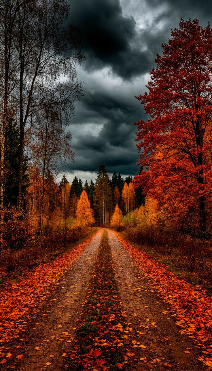 Fall Photography Made Easy: Fun Themes & Perfect Outfits