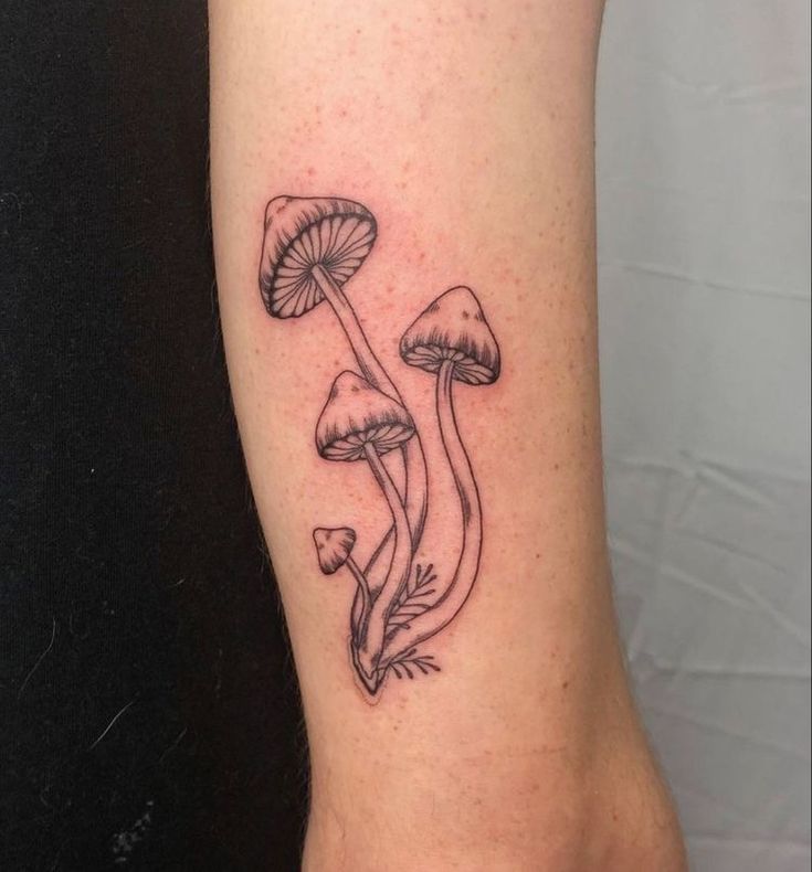 🍄 Tattoo of three outlined mushrooms on a forearm, showcasing intricate linework and botanical elements. | Sky Rye Design Tattoo of three outlined mushrooms on a forearm, showcasing intricate linework and botanical elements.