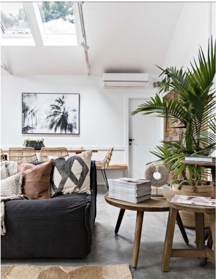 Modern living room with black sofa, palm plant, and skylight. Cozy decor includes pillows, wooden tables, and artwork.