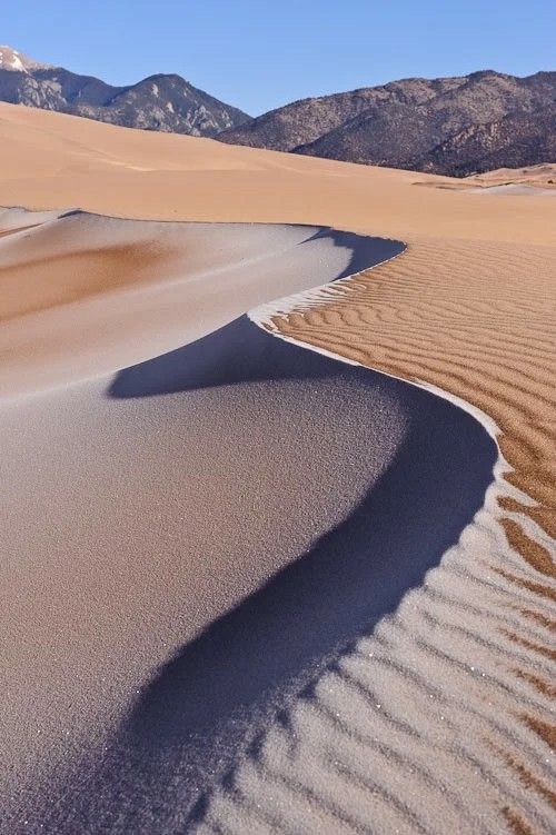 Sweeping sand dunes under a clear blue sky with distant mountains. Desert landscape showcasing nature's beauty.