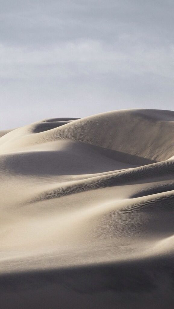 Serene desert sand dunes under a cloudy sky, showcasing natural curves and textures in soft light.