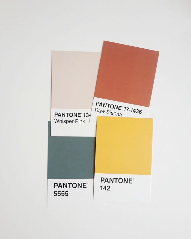 Pantone color swatches featuring Whisper Pink, Raw Sienna, 5555, and 142 against a white background. Pantone Color