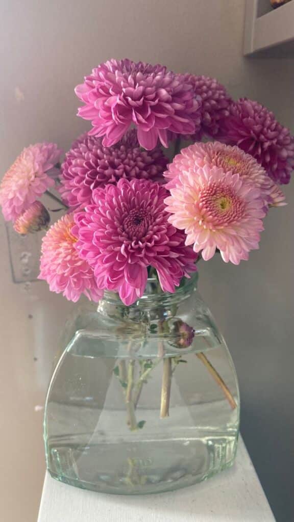 Pink chrysanthemums in a clear vase on a shelf, adding a touch of elegance and freshness to the room.