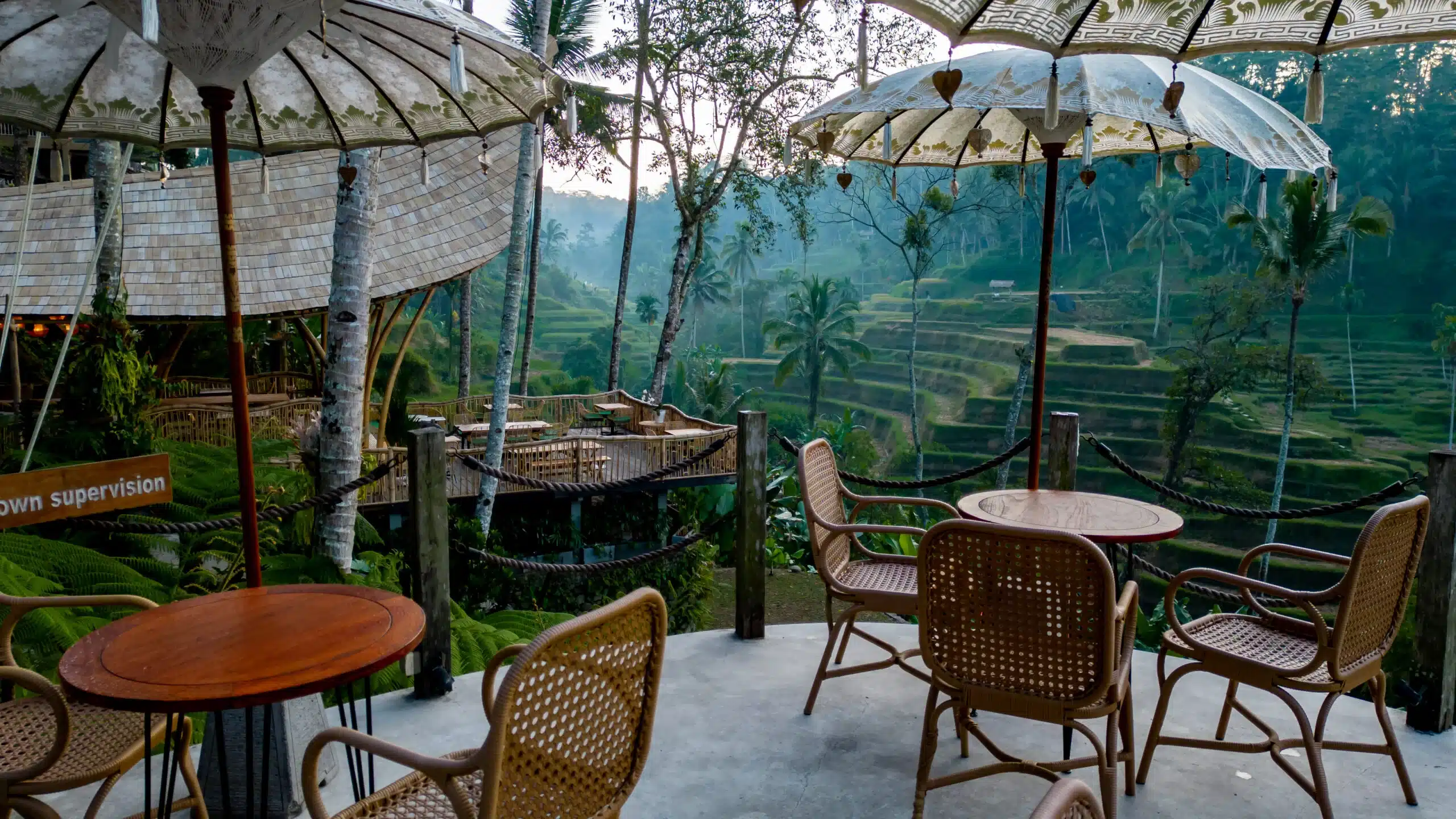 Outdoor cafe with rustic wooden chairs overlooks lush green rice terraces and palm trees in a serene landscape.