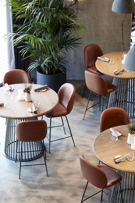 Modern cafe interior with round wooden tables, brown chairs, and a tall potted plant, creating a cozy atmosphere.