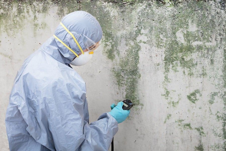 3b441ece970a4187feb3bab7d9ab7ecf Technician in protective gear inspecting moldy wall for mold remediation. | Sky Rye Design Technician in protective gear inspecting moldy wall for mold remediation.