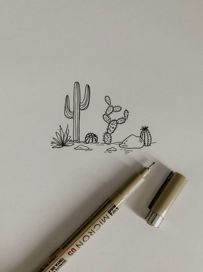 Hand-drawn desert cactus scene with pen and ink on paper, showcasing various cacti and rocks.