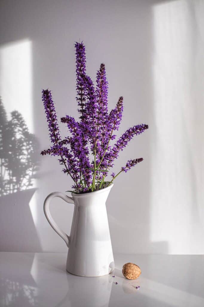 Purple flowers in a white pitcher cast shadows on a sunlit wall, accompanied by a walnut on the table.