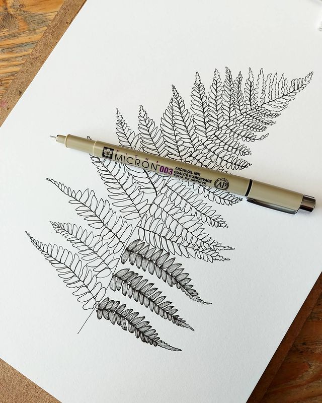 Ink pen drawing of a detailed fern leaf on paper, showcasing artistic inkwork with precision and creativity.