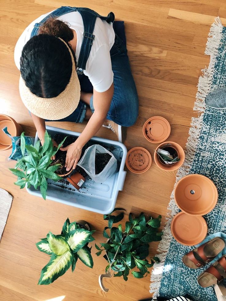 Person planting indoors with various houseplants, pots, and soil on a wooden floor. Gardening at home.