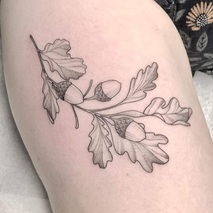 Line art acorn and oak leaves tattoo on skin, showcasing detailed shading.