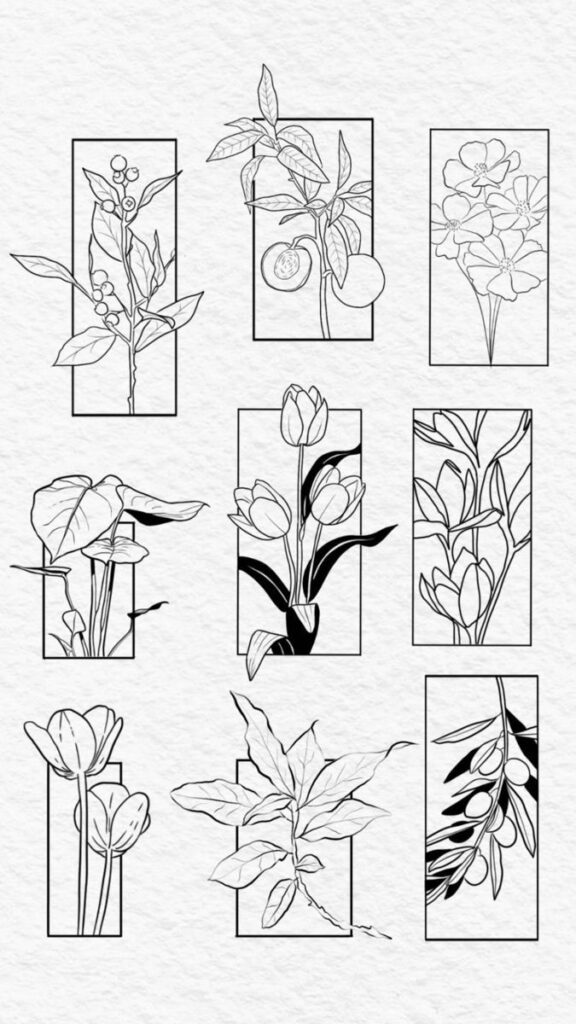 Illustrated botanical sketches of various plants and flowers in rectangular frames on a textured background.
