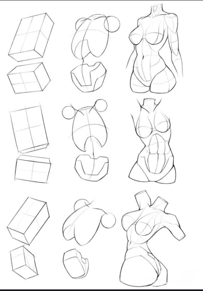 Drawing tutorial showing step-by-step female torso anatomy using cubes and circles for structure.