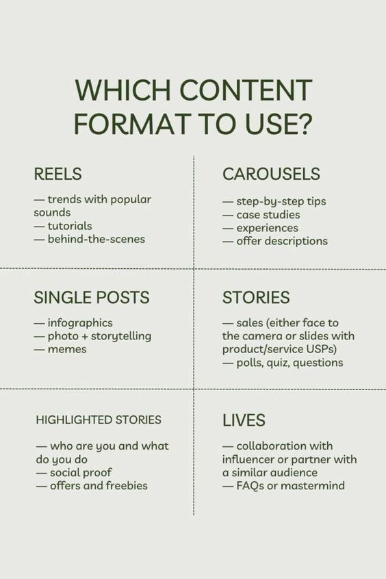 Guide on content formats: Reels, Carousels, Single Posts, Stories, Highlighted Stories, Lives for social media strategy.