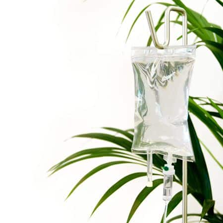 _ 9 Clear IV bag hanging with lush green plant backdrop, symbolizing health and rejuvenation. | Sky Rye Design Clear IV bag hanging with lush green plant backdrop, symbolizing health and rejuvenation.