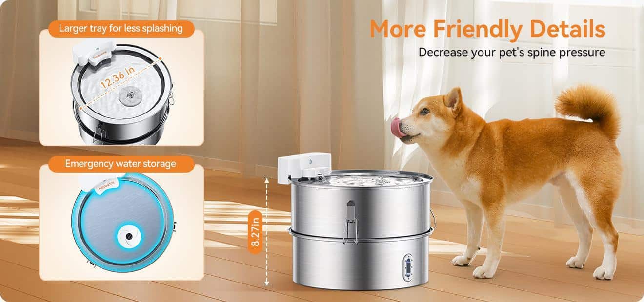 Dog Water Fountain