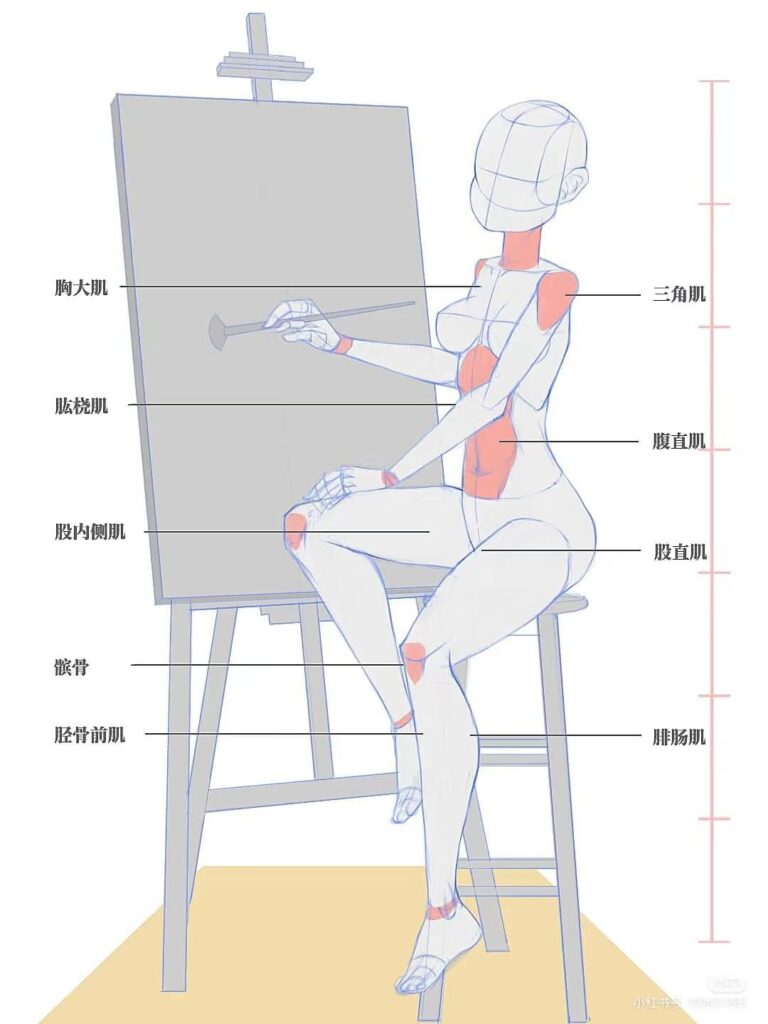Anatomical sketch of a seated artist with Chinese labels highlighting muscles, holding a brush, facing a canvas on an easel.
