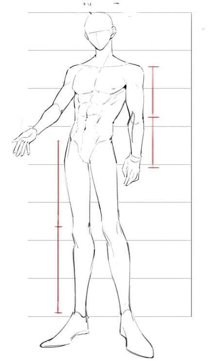 Sketch of a human figure drawing guide with a grid and red height markers for proportions in art.