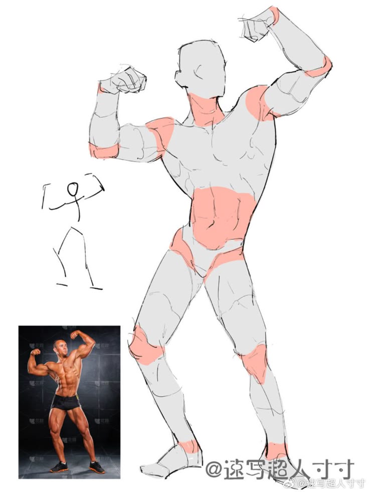 Drawing tutorial showing a muscular pose progression from sketch to detailed outline with color highlights.