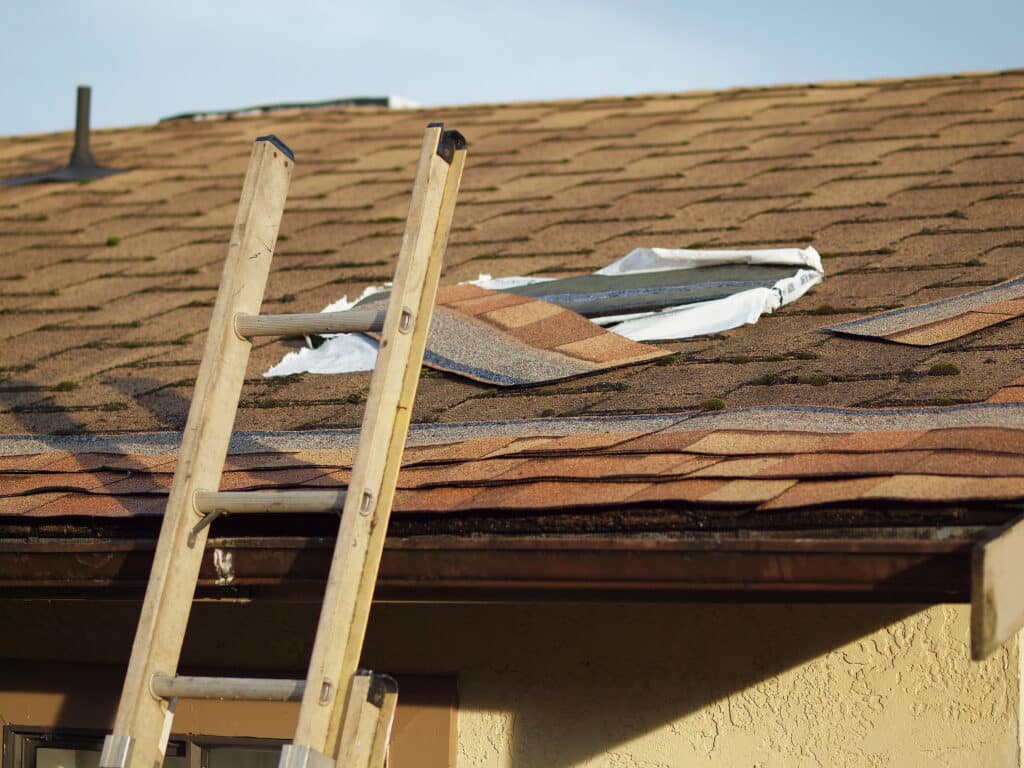 Depositphotos_255089356_XL Ladder on roof with storm damage and missing shingles, highlighting need for urgent repair or replacement. | Sky Rye Design Ladder on roof with storm damage and missing shingles, highlighting need for urgent repair or replacement.