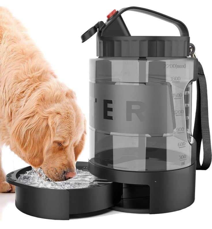 Dog drinking from a portable water dispenser with a large container and spout. Perfect for pet hydration on-the-go.
