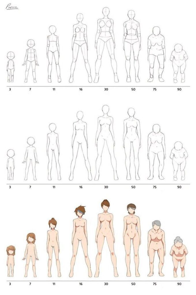 Illustration showing human body development from ages 3 to 90, highlighting anatomical changes over time.