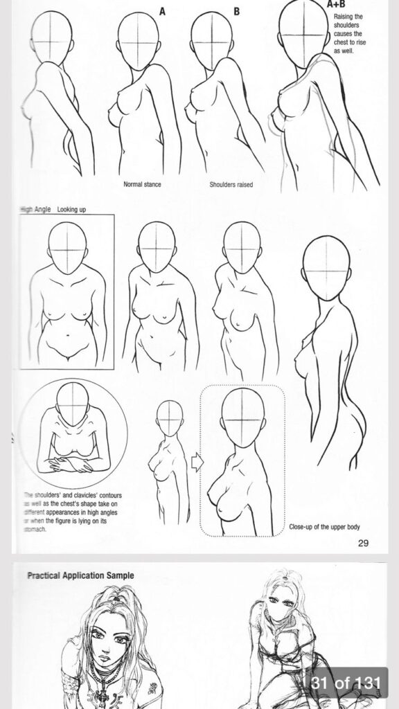 Illustration of female anatomy sketches showing different poses and stances for drawing practice.