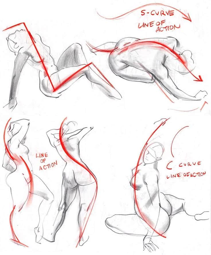 Figure drawing sketches with red lines of action highlighting pose dynamics and S-curve, C-curve techniques.