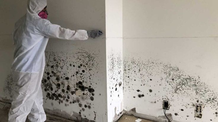 Person in protective gear inspecting mold growth on walls.