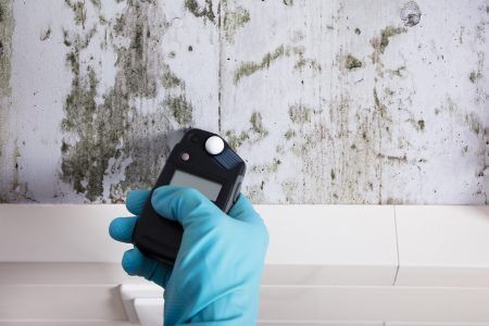 Gloved hand using a moisture meter on a moldy wall to check for dampness and mold growth.
