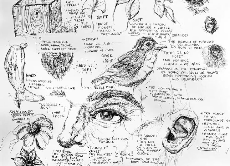 Intricate sketch of various objects and body parts, exploring themes of nature, texture, and contrast with handwritten notes.